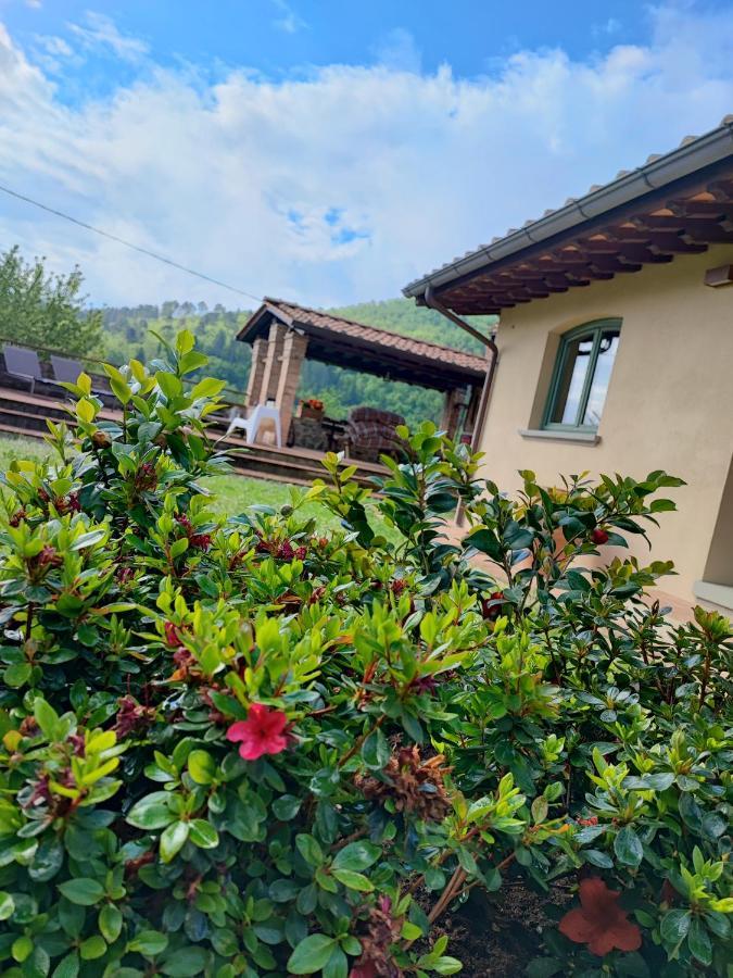 סטרדה Villa Giulia Fashion B&B מראה חיצוני תמונה